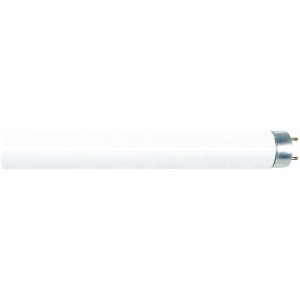 F14T8/CW IP