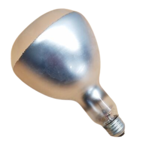 120ER40 120V SYLVANIA