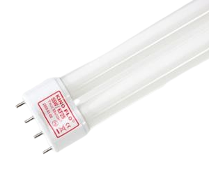 55W KF29 KINO