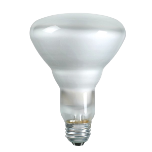 65BR30/FL55 120V PHILIPS