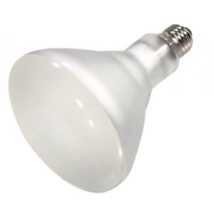 75BR40/FL/120V GLOBE