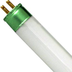 F24T5/835 HO PHILIPS