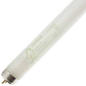 L36W/865 OSRAM