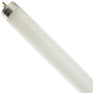 L36W/840/1 OSE