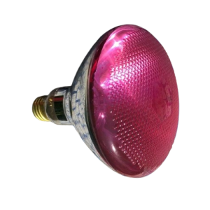 100PAR38 MED PINK 115-125V SYLVANIA