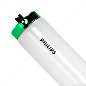 F96T12/D/HO-O/ALTO PHILIPS